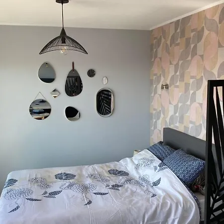 Apartment Studio Lumineux Cosy *